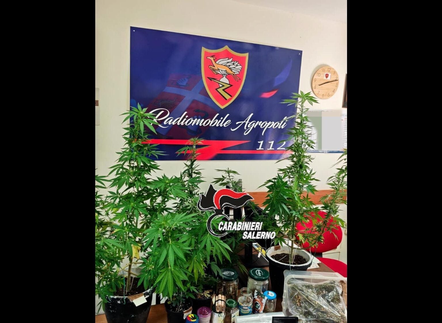 Agropoli, 23enne arrestato con droga e contanti: revocata la misura cautelare
