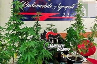 Agropoli, 23enne arrestato con droga e contanti: revocata la misura cautelare