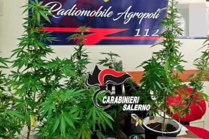 Agropoli, 23enne arrestato con droga e contanti: revocata la misura cautelare