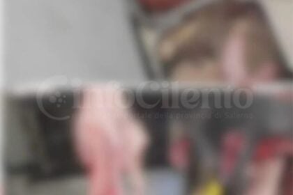 Battipaglia, blitz igienico-sanitario: maxi sequestro di carni e 700 confezioni irregolari