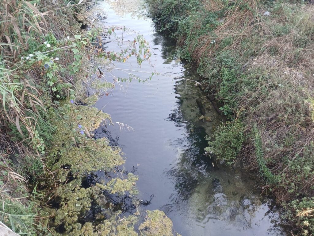 Capaccio Paestum, sversamento nel fiume Acqua Sulfurea: azienda sotto sequestro