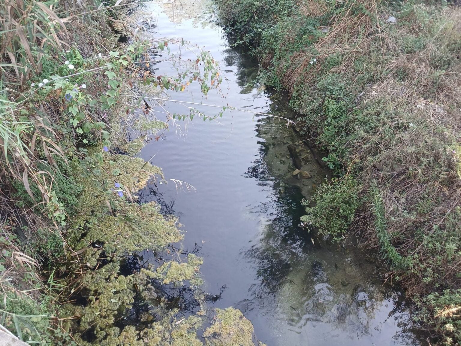 Capaccio Paestum, sversamento nel fiume Acqua Sulfurea: azienda sotto sequestro