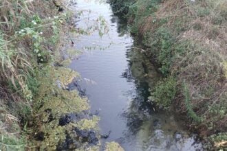 Capaccio Paestum, sversamento nel fiume Acqua Sulfurea: azienda sotto sequestro