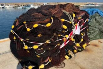 Controlli nel Cilento: sequestri e sanzioni della Guardia Costiera