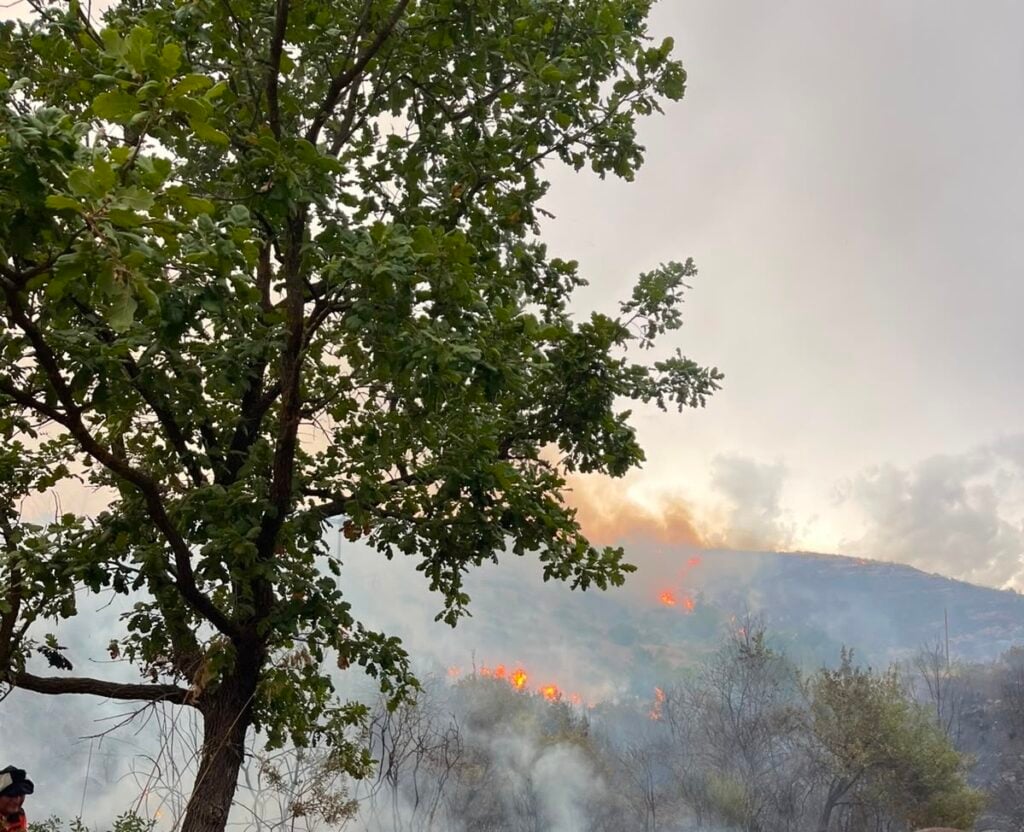 Vasto incendio a Giungatelle: fiamme tra Montecorice e Castellabate