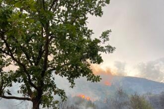 Vasto incendio a Giungatelle: fiamme tra Montecorice e Castellabate
