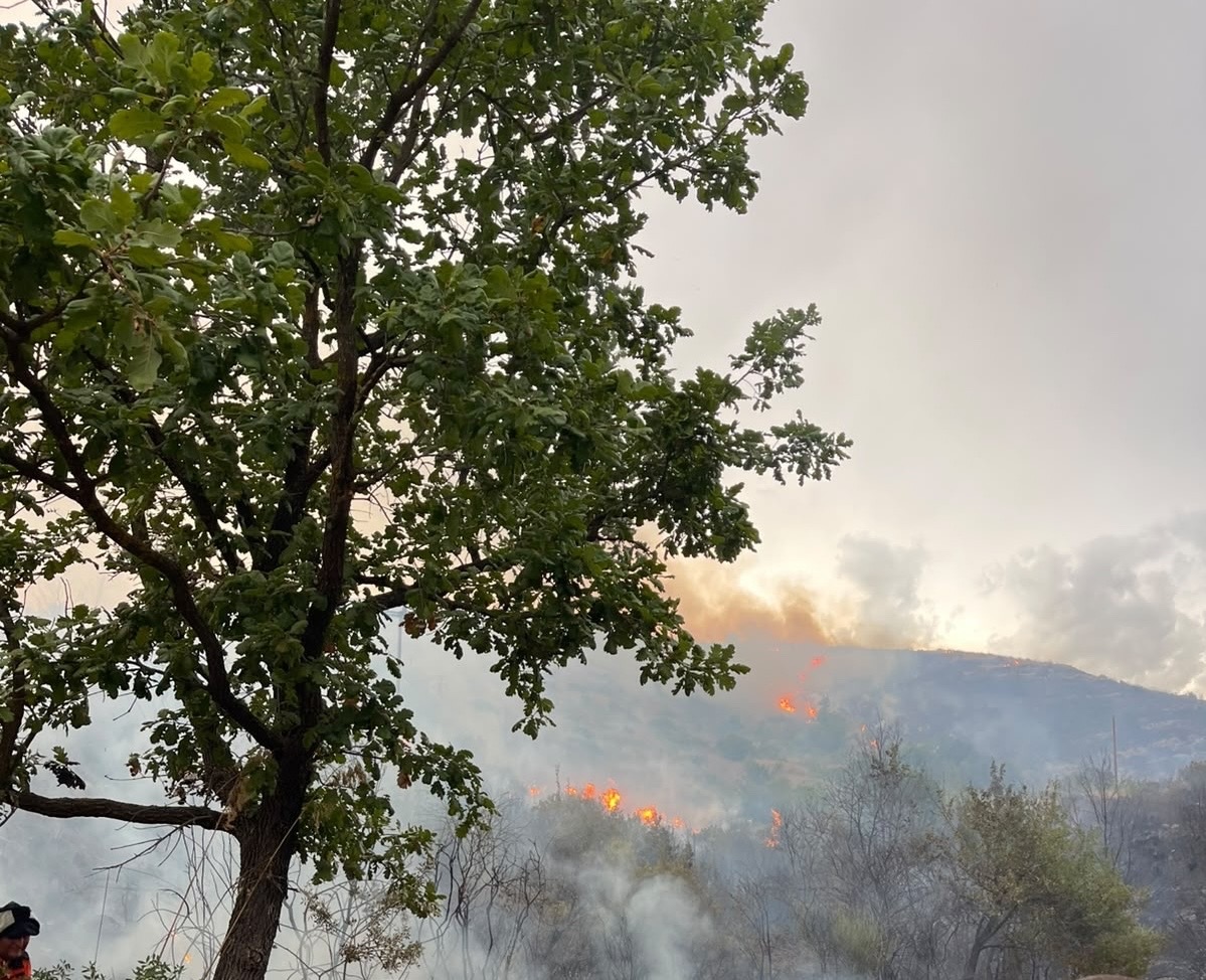 Vasto incendio a Giungatelle: fiamme tra Montecorice e Castellabate