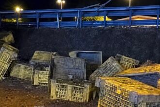  perde il carico di pomodori a Sicignano: auto travolte e due feriti