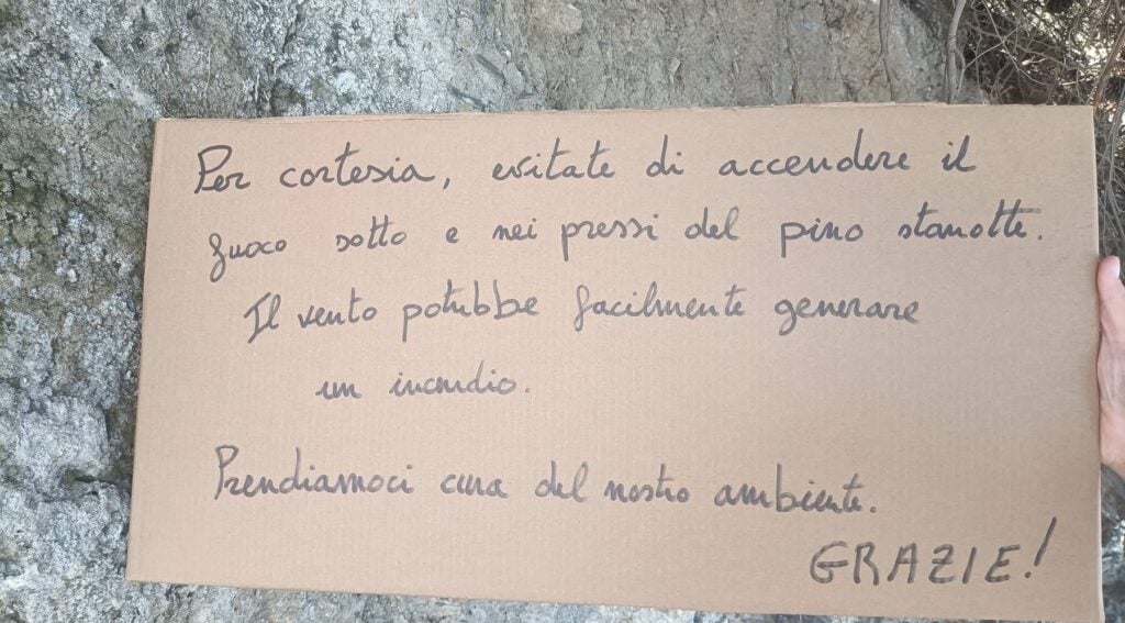 Pioppi, l’appello ai giovani per salvare un maestoso pino: «non accendete qui il falò»