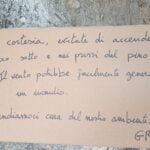 Pioppi, l’appello ai giovani per salvare un maestoso pino: «non accendete qui il falò»