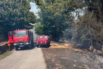 Cilento nella morsa del fuoco: tre roghi tra Montecorice, Perdifumo e Sessa