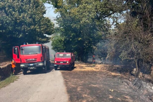 Cilento nella morsa del fuoco: tre roghi tra Montecorice, Perdifumo e Sessa
