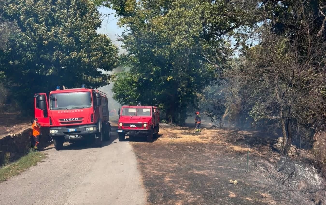 Cilento nella morsa del fuoco: tre roghi tra Montecorice, Perdifumo e Sessa