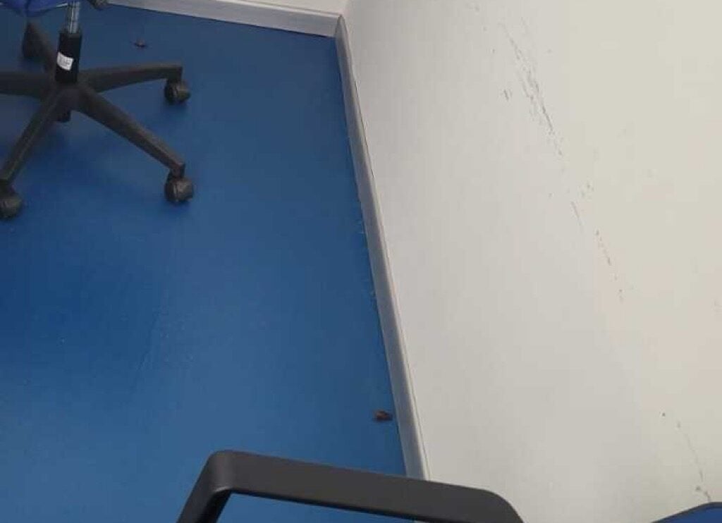 Blatte e degrado al Collocamento Mirato di Salerno: la protesta dei lavoratori