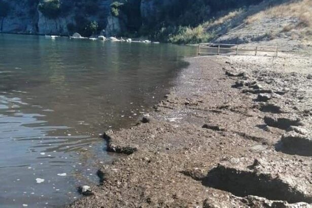 Mare in Campania, i dati Arpac di agosto: Cilento al top, stop alla Marina di Agropoli