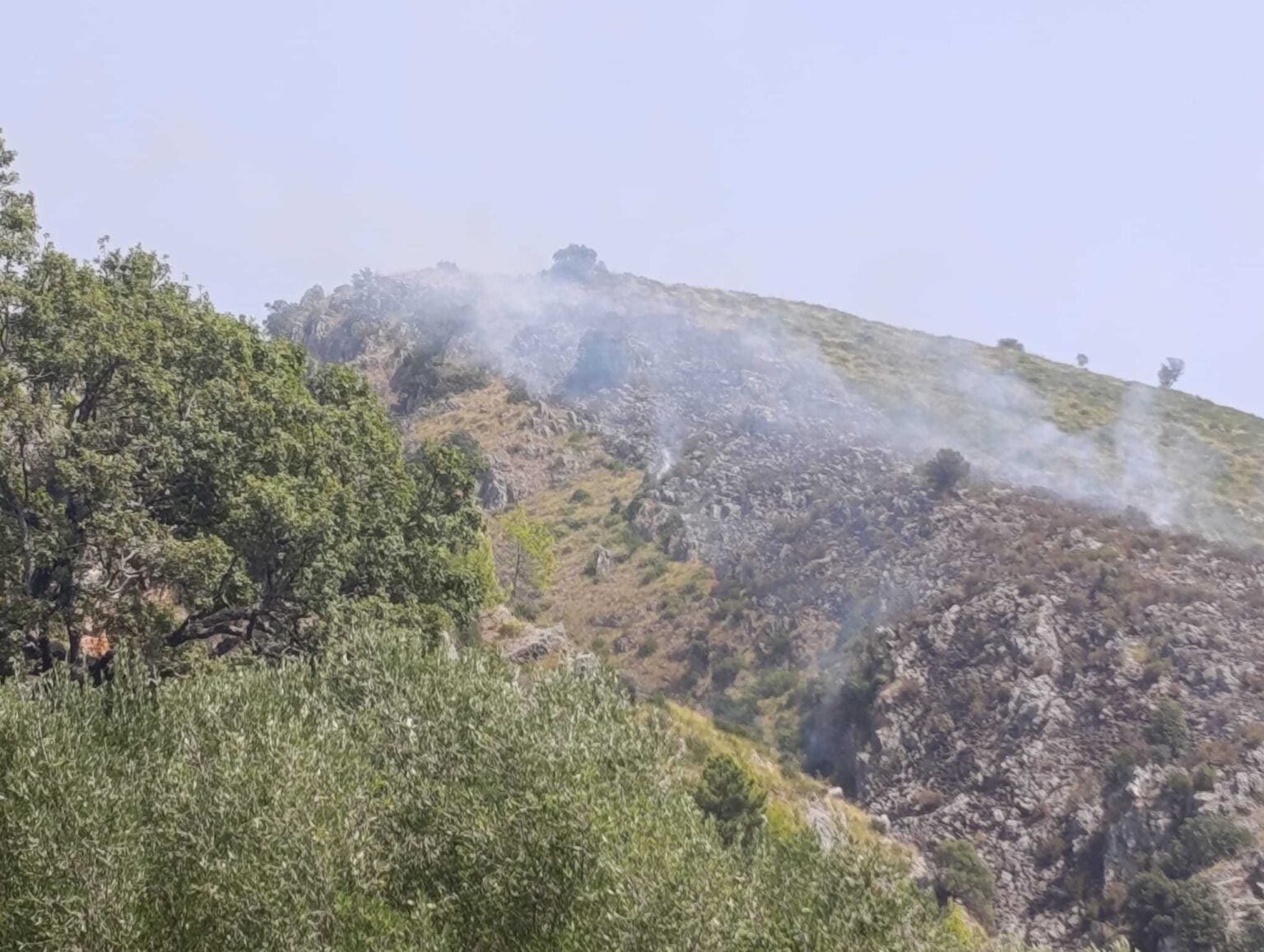 Incendio a Vibonati: fiamme in località Tempitello, soccorsi in azione