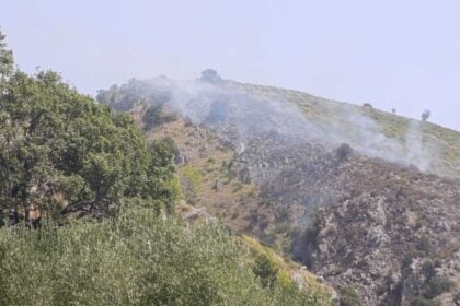 Incendio a Vibonati: fiamme in località Tempitello, soccorsi in azione