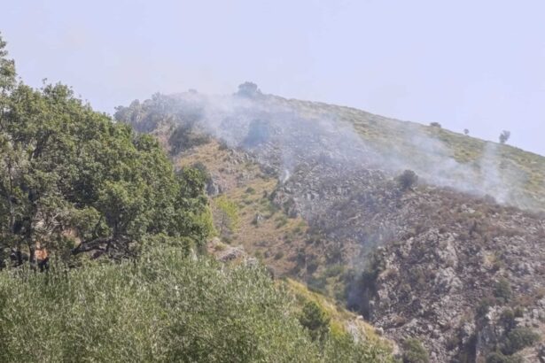 Incendio a Vibonati: fiamme in località Tempitello, soccorsi in azione