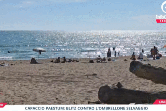 Tg InfoCilento 19 agosto 2026