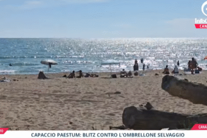 Tg InfoCilento 19 agosto 2026