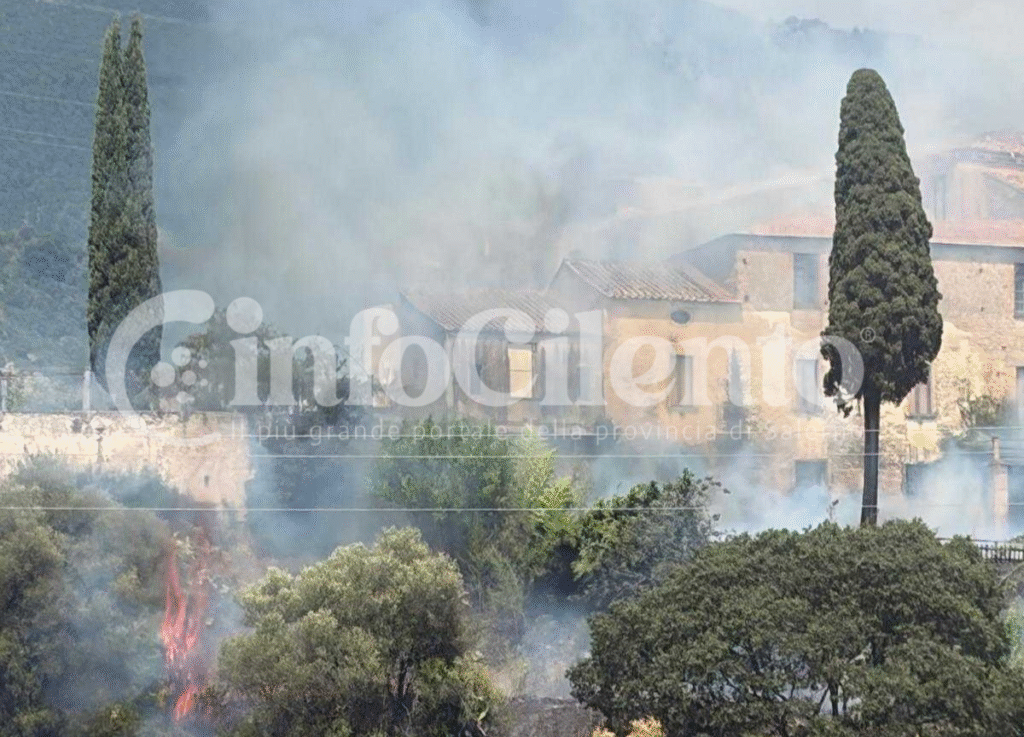 Progetto senza titolo_20260809_143243_0000