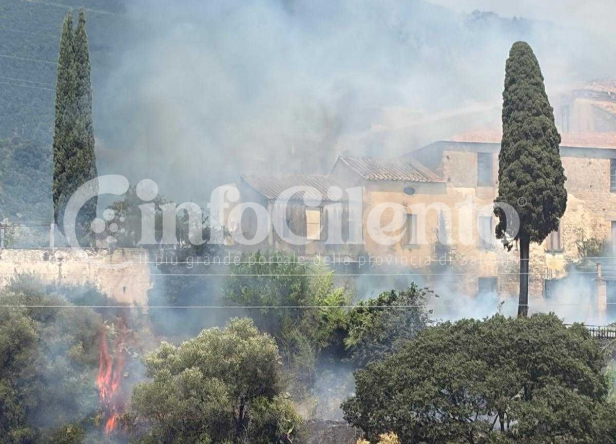 Progetto senza titolo_20260809_143243_0000