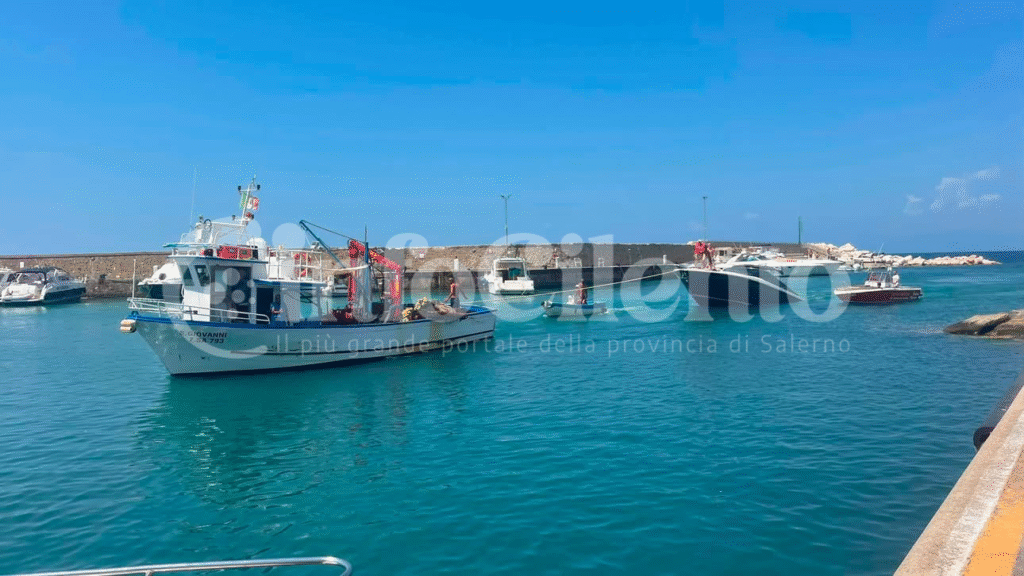 Progetto senza titolo_20260809_144221_0000