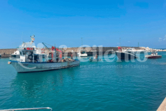 Progetto senza titolo_20260809_144221_0000