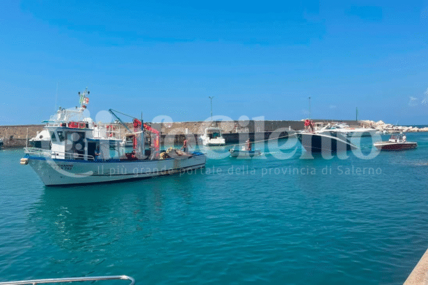 Progetto senza titolo_20260809_144221_0000