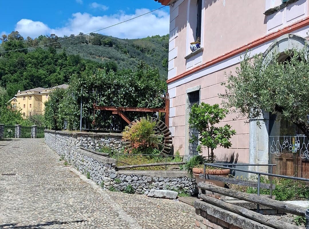 Sagra della Nocciola 2026 a Giffoni Valle Piana: programma, date e novità