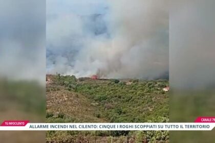 Cilento devastato dai roghi: ettari di macchia mediterranea in fumo