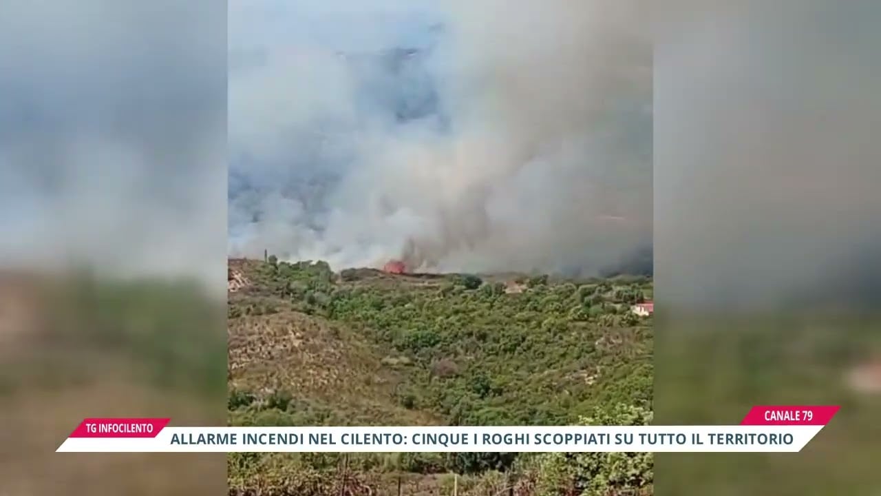 Cilento devastato dai roghi: ettari di macchia mediterranea in fumo