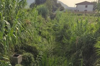 Agropoli, rischio allagamenti al rione Moio: appello per la pulizia dei canaloni