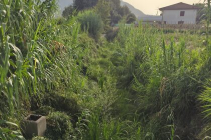 Agropoli, rischio allagamenti al rione Moio: appello per la pulizia dei canaloni
