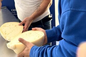 Eccellenza casearia a Sanza: il Caseificio Mediterraneo trionfa a Casearia Awards