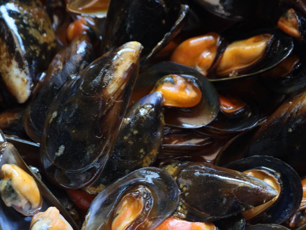 Clima e caldo record, moria di cozze in Campania: il settore della mitilicoltura è a rischio