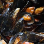 Clima e caldo record, moria di cozze in Campania: il settore della mitilicoltura è a rischio