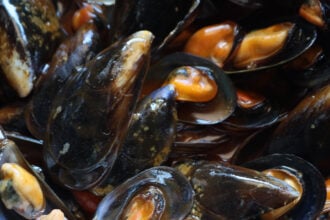 Clima e caldo record, moria di cozze in Campania: il settore della mitilicoltura è a rischio