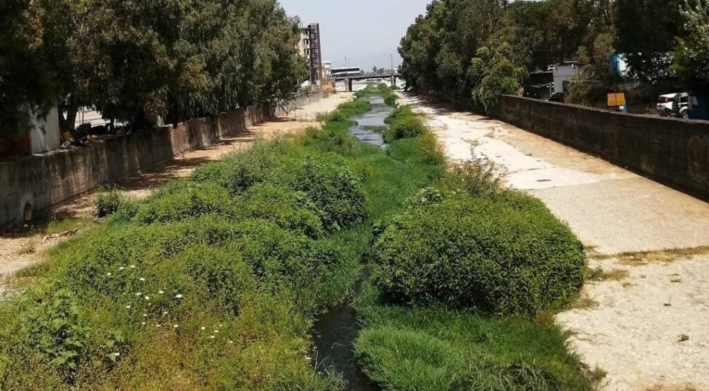 Allarme inquinamento nel Testene ad Agropoli: veleni nel fiume e fauna a rischio