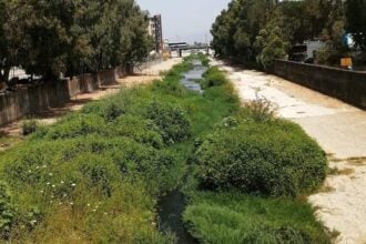 Allarme inquinamento nel Testene ad Agropoli: veleni nel fiume e fauna a rischio