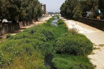 Allarme inquinamento nel Testene ad Agropoli: veleni nel fiume e fauna a rischio