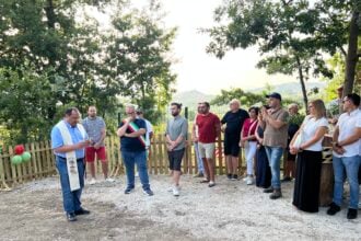 Foresta dei cani Atena Lucana