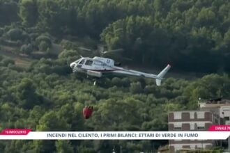 Incendi nel Cilento, estate da dimenticare: ettari di bosco in fiamme. Timori per settembre