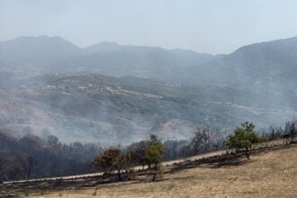 Incendio ad Ascea Marina: focolai riaccesi dal vento, elicottero in azione