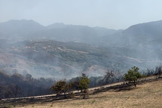Incendio ad Ascea Marina: focolai riaccesi dal vento, elicottero in azione