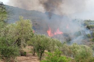 Incendio ad Ascea Marina: fiamme vicine alle case, soccorsi in azione