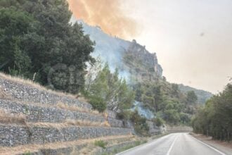 Incendio lungo la via del Mingardo: fiamme tra Palinuro e Marina di Camerota