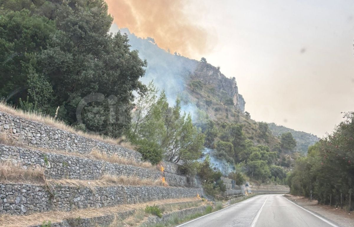 Incendio lungo la via del Mingardo: fiamme tra Palinuro e Marina di Camerota