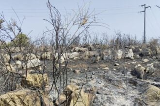 Roccadaspide, brucia ancora la montagna: elicotteri in azione dal fiume Calore