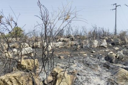 Roccadaspide, brucia ancora la montagna: elicotteri in azione dal fiume Calore